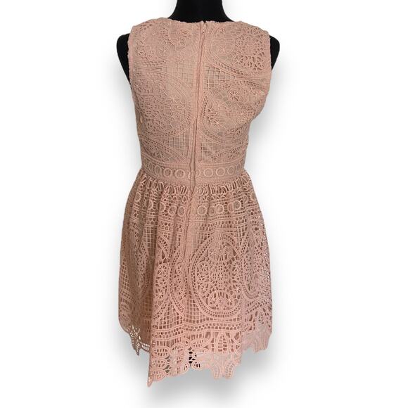 Miami Womens Dress Sz M Blush Pink Lace Eyelet Fit and Flare Francesca's NEW - Picture 3 of 6